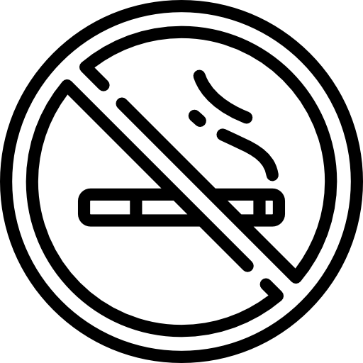 No smoking Special Lineal icon