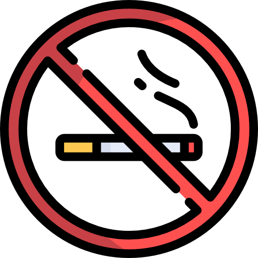 no fumar Special Lineal color icono
