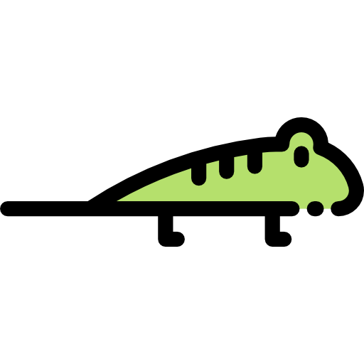 Lizard Detailed Rounded Lineal color icon