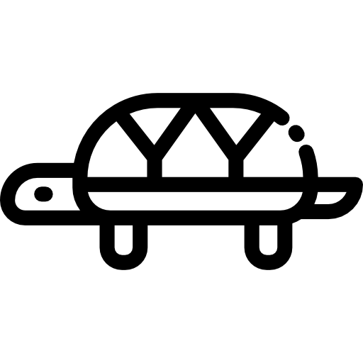 żółw Detailed Rounded Lineal ikona