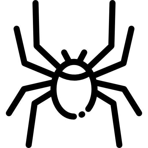 araña Detailed Rounded Lineal icono