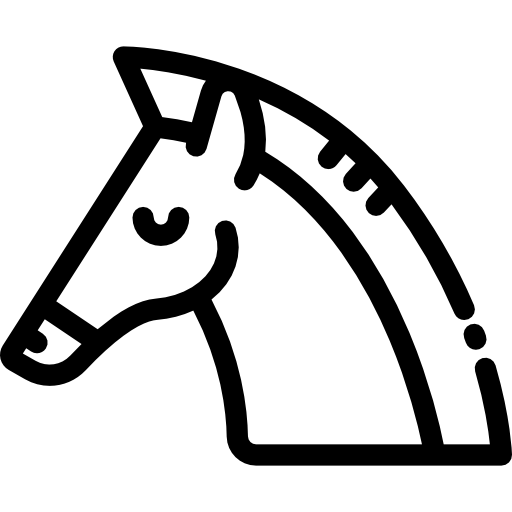 koń Detailed Rounded Lineal ikona