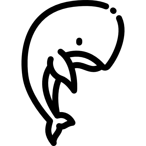 balena Detailed Rounded Lineal icona