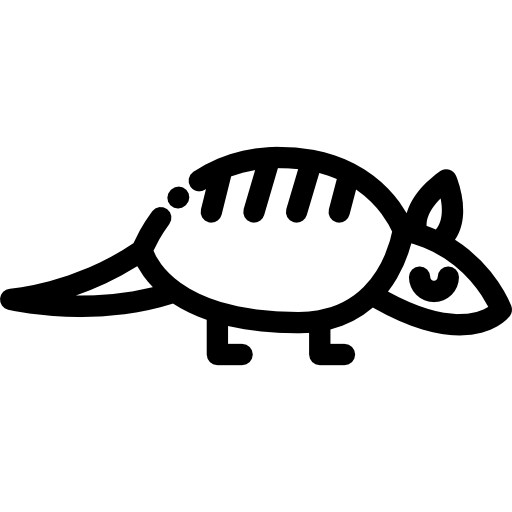 armadillo Detailed Rounded Lineal иконка