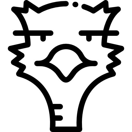 avestruz Detailed Rounded Lineal icono