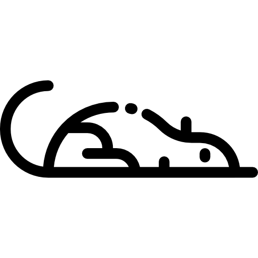뒤쥐 Detailed Rounded Lineal icon