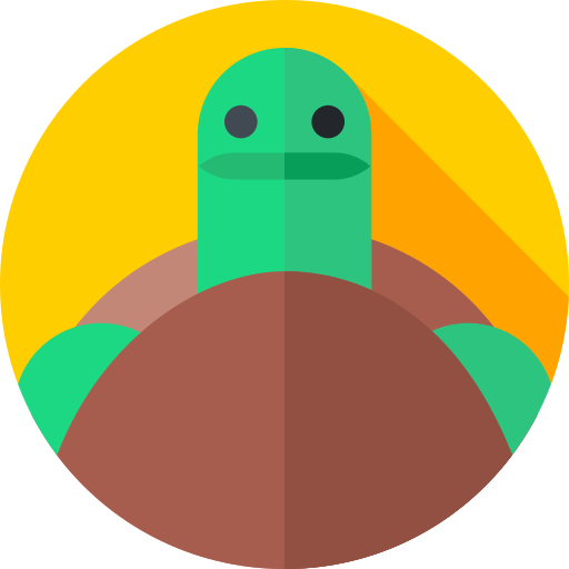 Turtle Flat Circular Flat icon