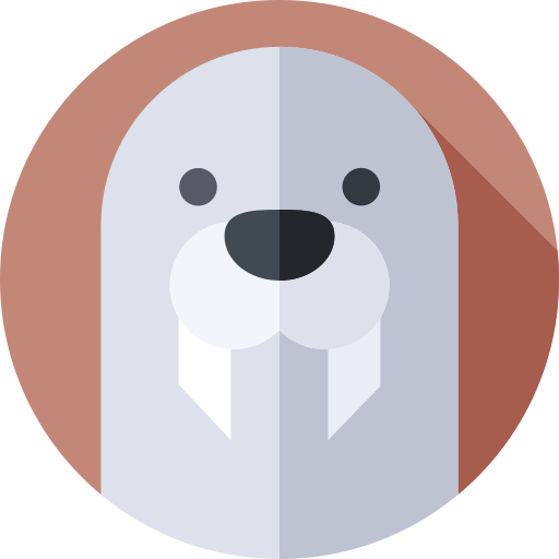 walrus Flat Circular Flat icoon