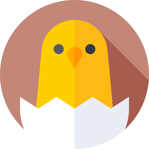 pollo Flat Circular Flat icono