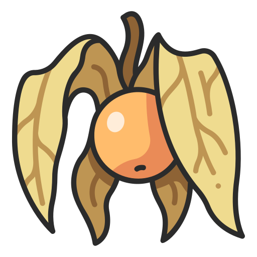 physalis MaxIcons Lineal color icon