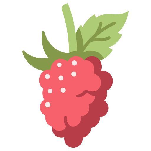 Raspberry MaxIcons Flat icon