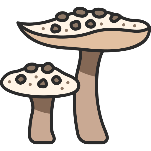 Mushroom MaxIcons Lineal color icon