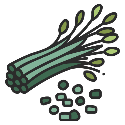 Chives MaxIcons Lineal color icon