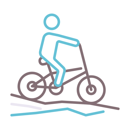 bmx Flaticons Lineal Color icon