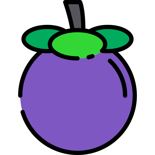 Mangosteen Good Ware Lineal Color icon