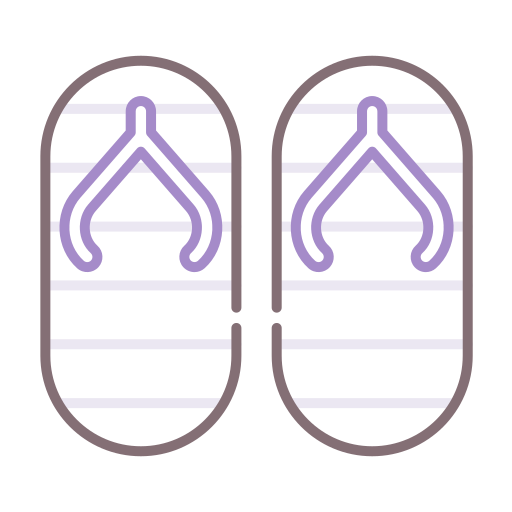flip-flops Flaticons Lineal Color icon
