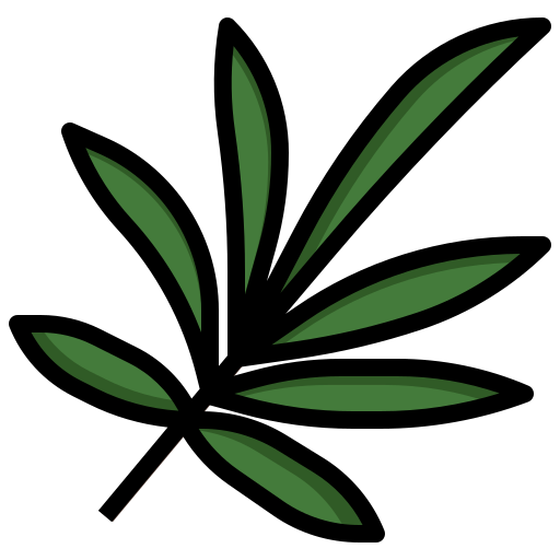 palme Surang Lineal Color icon