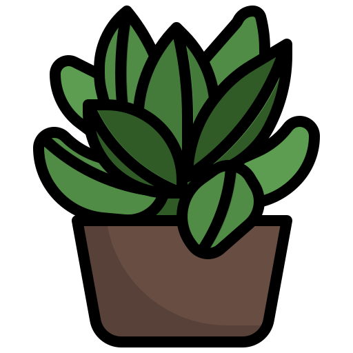 多肉植物 Surang Lineal Color icon