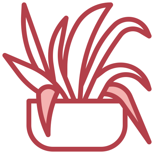 planta araña Surang Red icono