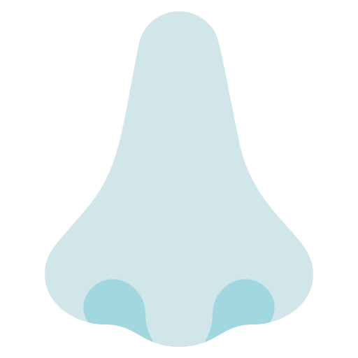 鼻 Generic Blue icon