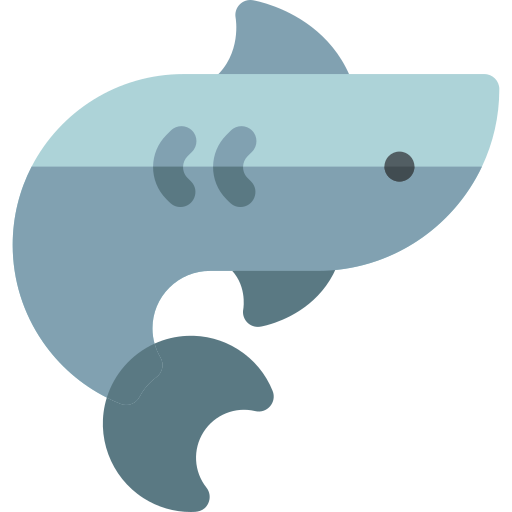 tiburón Basic Rounded Flat icono