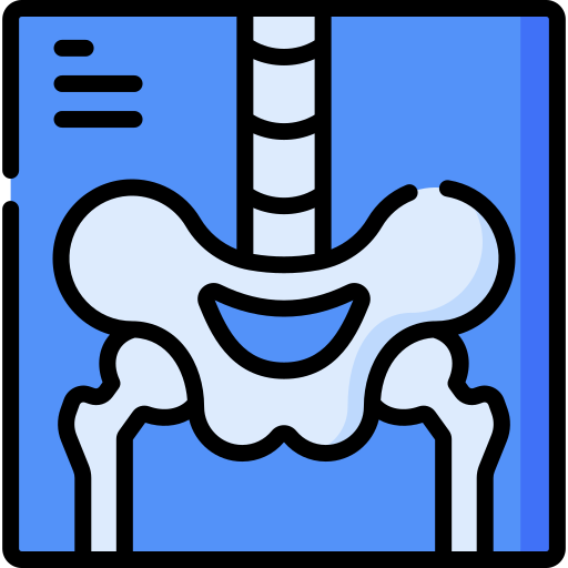 röntgenstrahlen Special Lineal color icon
