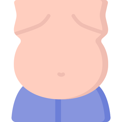 Belly Special Flat icon
