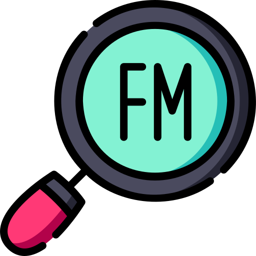 fm Special Lineal color icon