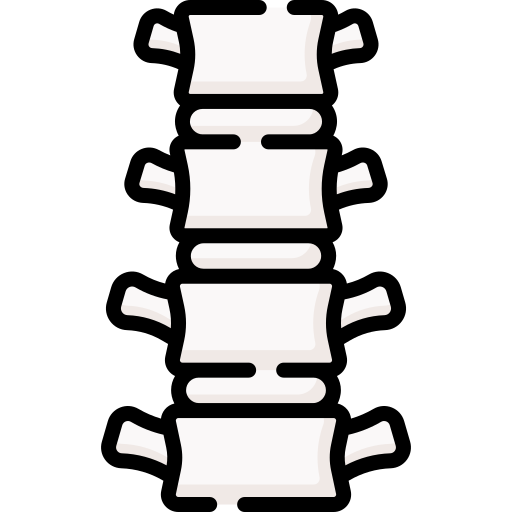 colonna vertebrale Special Lineal color icona
