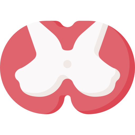 脊椎 Special Flat icon