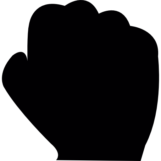 Fist  icon