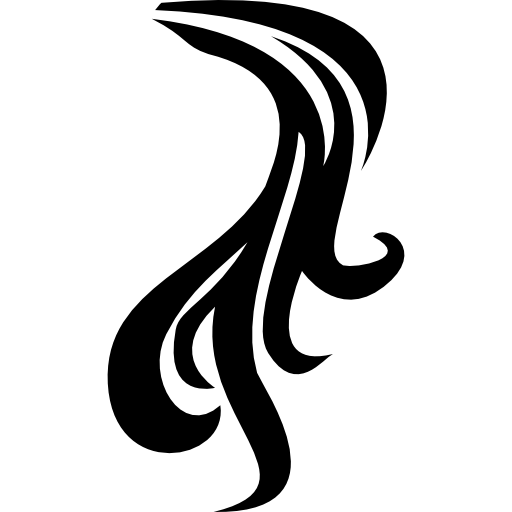 pelo de cola de caballo  icono