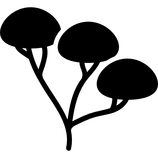 arbre à trois branches et zones de feuillage  Icône