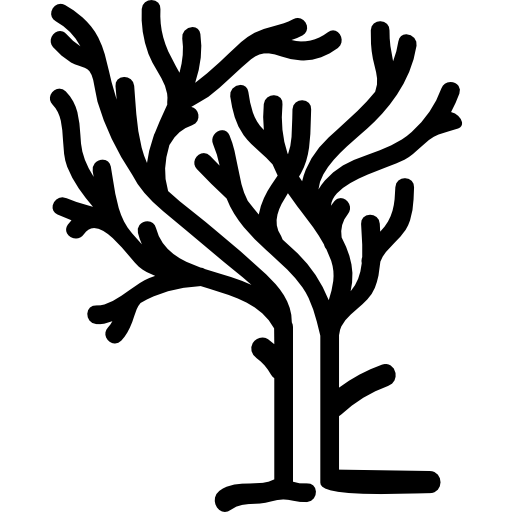 Árvore de galhos de forma irregular no inverno sem folhas  Ícone