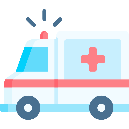 Ambulance Special Flat icon