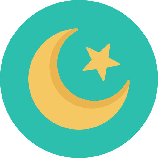 Moon Dinosoft Circular icon