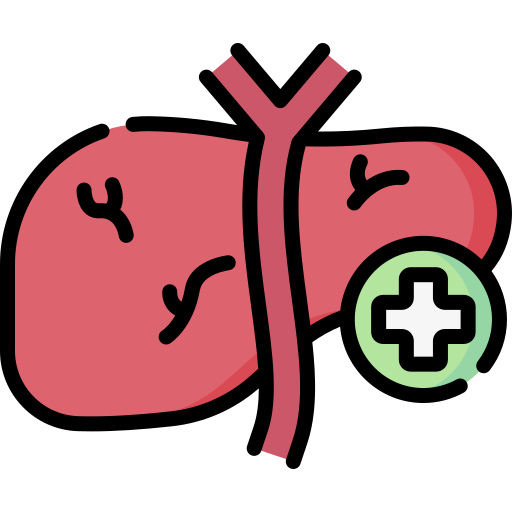 肝臓学 Special Lineal color icon