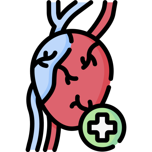 Cardiology Special Lineal color icon