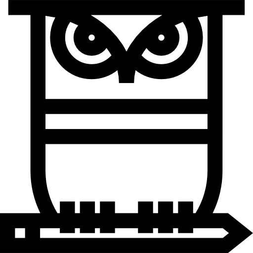 Owl Basic Straight Lineal icon