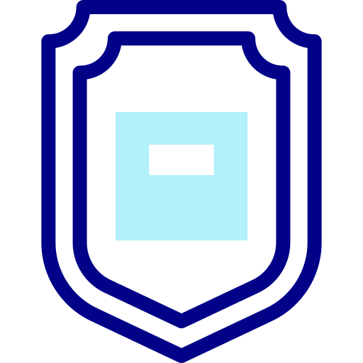 Shield Detailed Mixed Lineal color icon