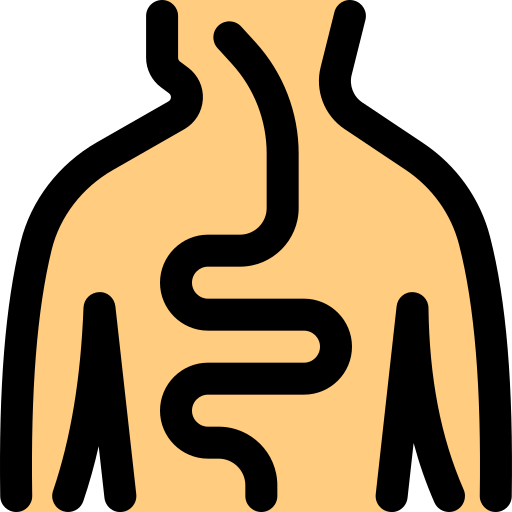 Human body Pixel Perfect Lineal Color icon