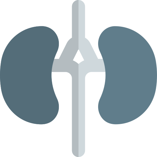 Kidneys Pixel Perfect Flat icon