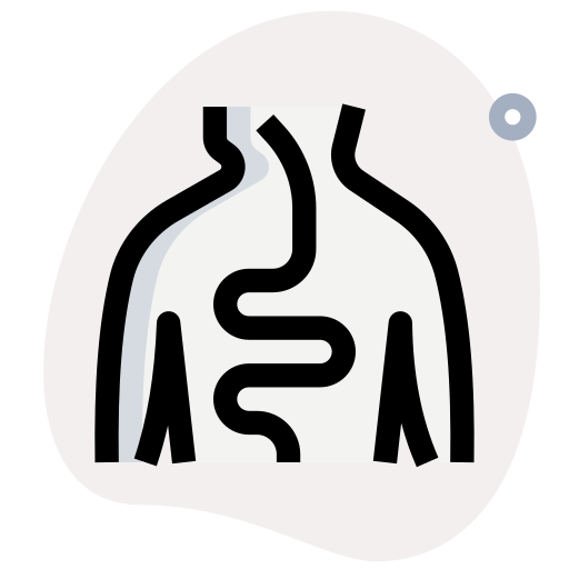 menschlicher körper Generic Rounded Shapes icon