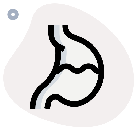 bauch Generic Rounded Shapes icon