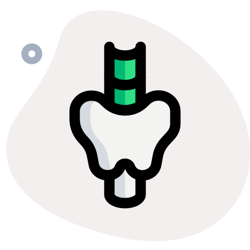 Thyroid Generic Rounded Shapes icon