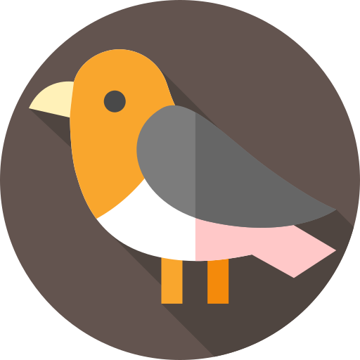 uccello Flat Circular Flat icona