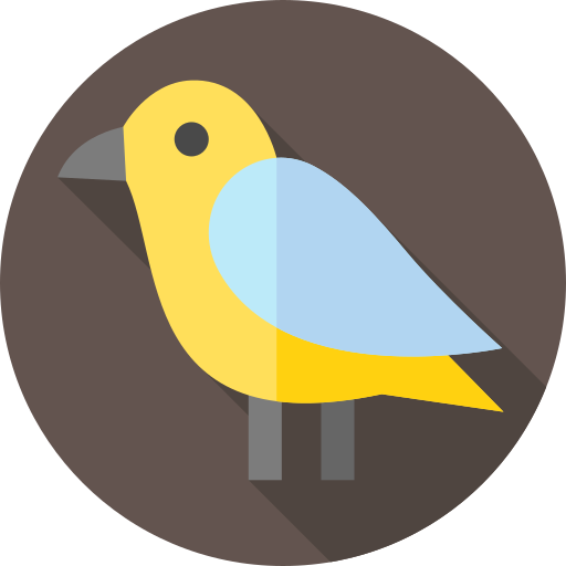 pájaro Flat Circular Flat icono