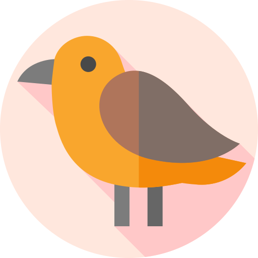 vogel Flat Circular Flat icon