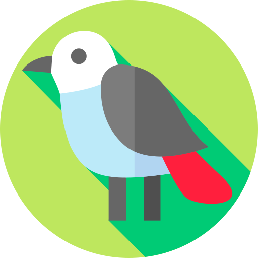 Bird Flat Circular Flat icon