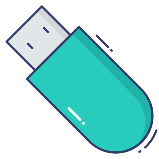 Usb flash drive Dinosoft Lineal Color icon